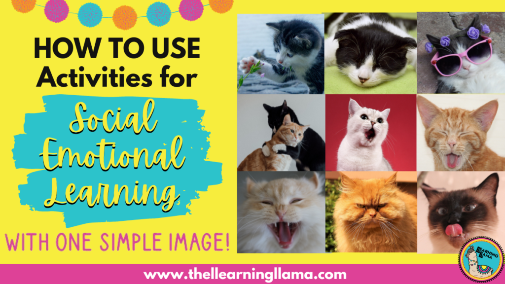 activities for social emotional learning with one simple image