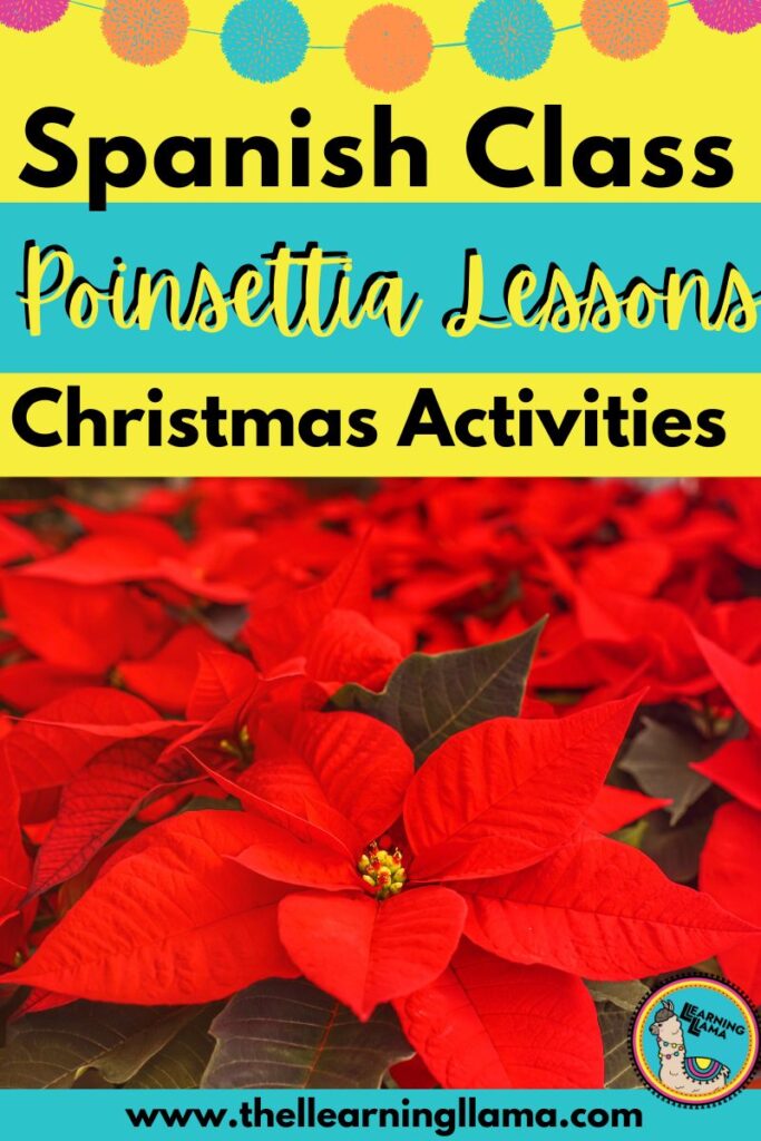 7 lessons to teach about the poinsettia in Spanish class during December