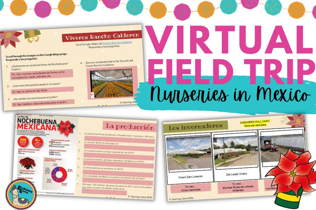 Take a virtual field trip to viveros or nurseries in Mexico with your Spanish students to explore maps of poinsettia farms.