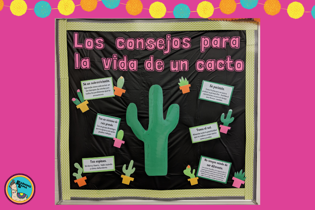 cactus theme bulletin board for spanish class