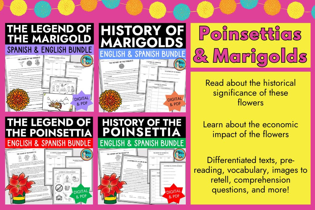 read about the legend and history of the poinsettia and marigolds in spanish class