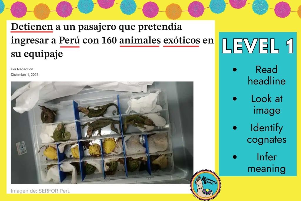 news article in spanish about exotic animals in a suitcase and how to interpret the headline for spanish 1