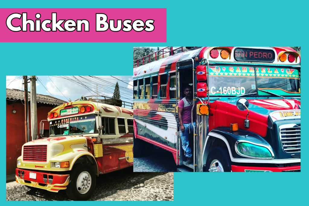 chicken buses in guatemala art form