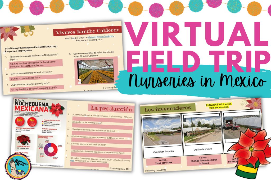 virtual field trip to poinsettia nurseries in mexico for a spanish class christmas lesson navidad